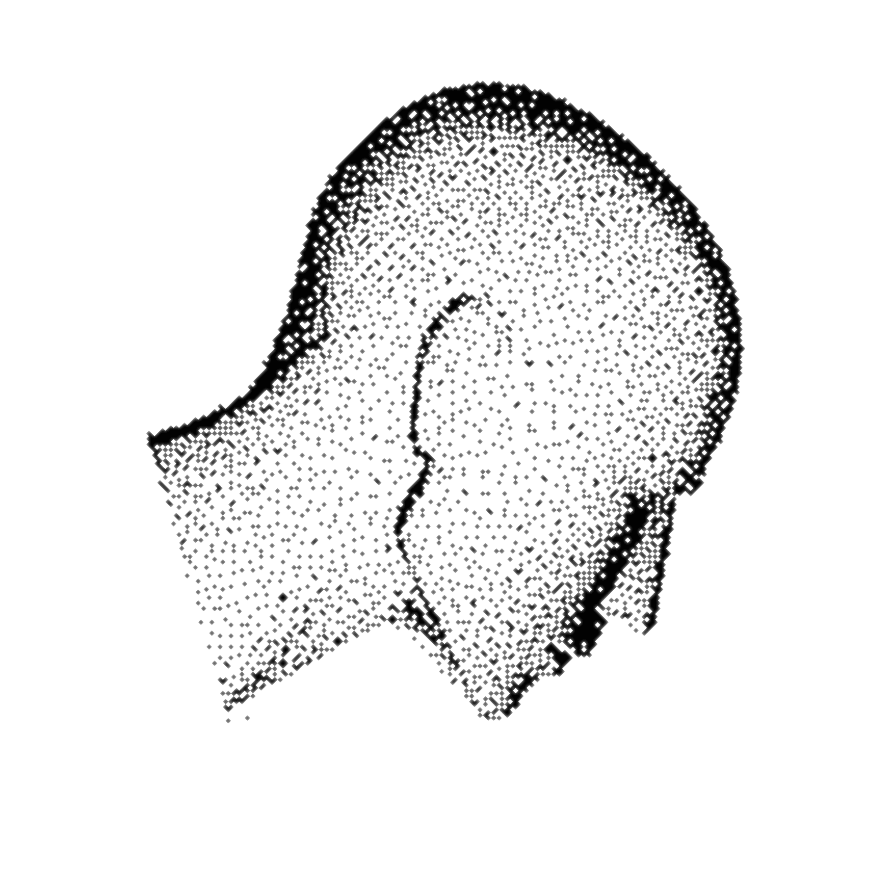 Profile face